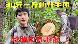 He went to the mountain with his uncle to look for a kilo of wild fungi from 30 yuan. He harvested