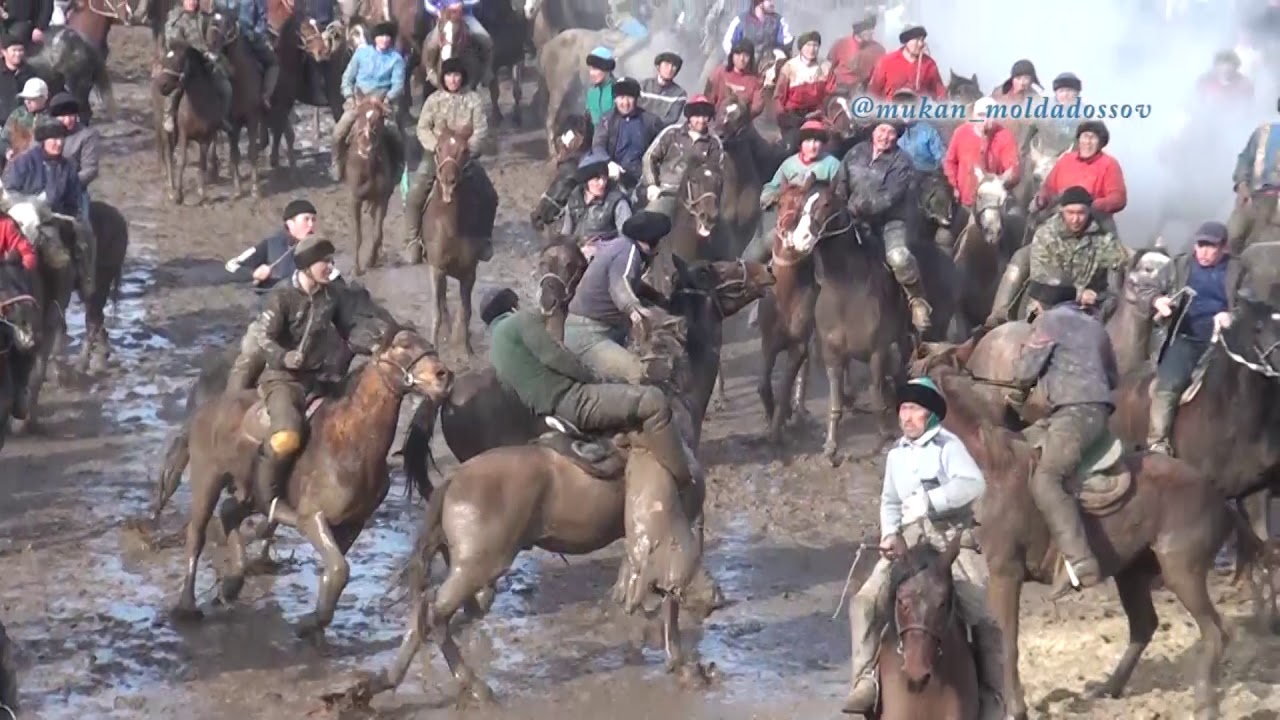 Алжан агамыздын кокпары Аккум Ч2 Horse-kokpar