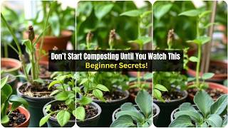 Don’t Start Composting Until You Watch This 😱 (Beginner Secrets!)