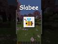Underrated Minecraft Mods #1 | Slabee