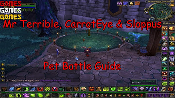 Mr Terrible Carroteye and Sloppus Pet Battle Guide - Warlords of Draenor