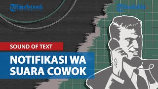 Cara Buat Sound of Text Pakai Suara Google Cowok untuk Notifikasi WhatsApp