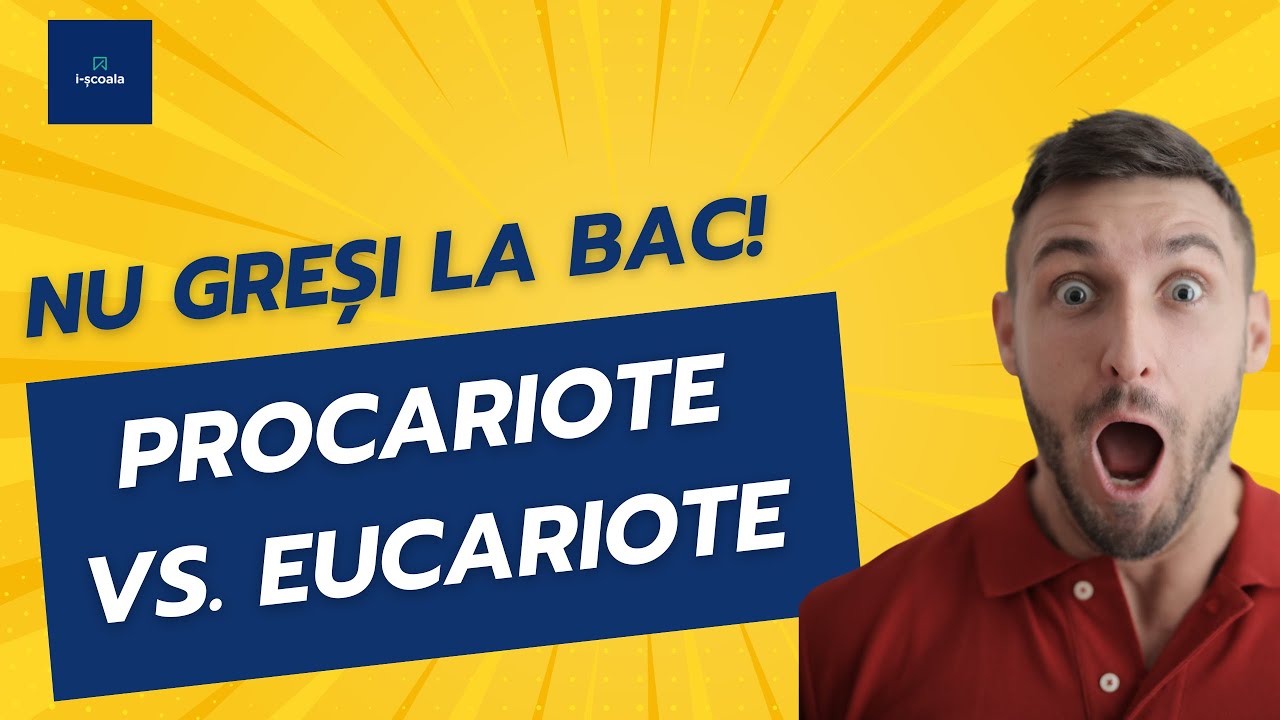 Biologie pentru Bacalaureat | Celula procariotă și celula eucariotă
