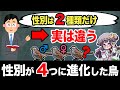 【ゆっくり解説】性別は２つだけとは限らないことを証明する小鳥ノドジロシトド