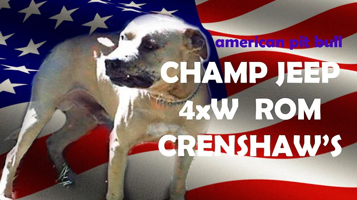 CRENSHAW'S JEEP  CH 4xW ROM APBT  pitbull game