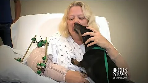 Dogs Meet Owners After Tornadoes 2