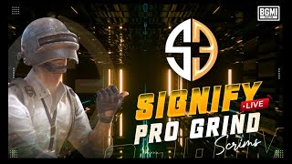 [HINDI]  SIGNIFY GRIND SCRIMS| BATTLEGROUND MOBILE INDIA  LIVE