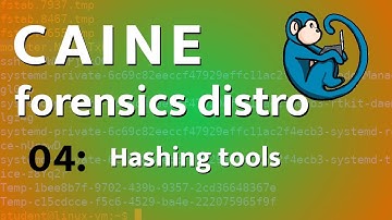 CAINE - 04 - GUI hashing tools