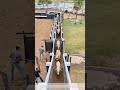 Guiding the Herd: Moving Cattle Through a Chute for Safe Transport