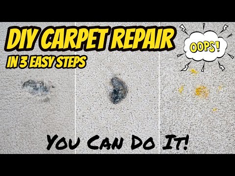 DIY Carpet Repair in 3 Easy Steps
