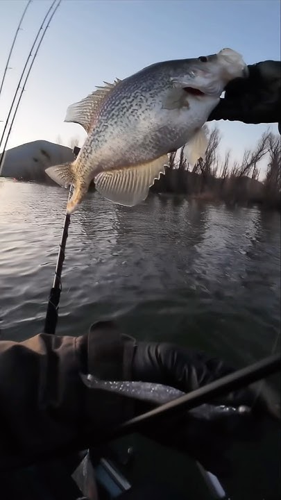 The only time I’m not happy to see a crappie is during a tournament. 