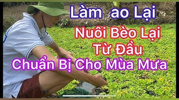 Cải Tạo Lại Ao Tiếp Tục Hành Trình Nuôi Ốc Bươu Đen - Trại Ốc Bươu Giống Mê Kông