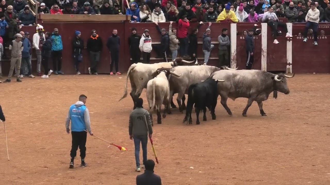 CIUDAD RODRIGO (SALAMANCA)  ENTRADA ENCIERRO A CABALLO  Y CAPEA 15- 2- 2026