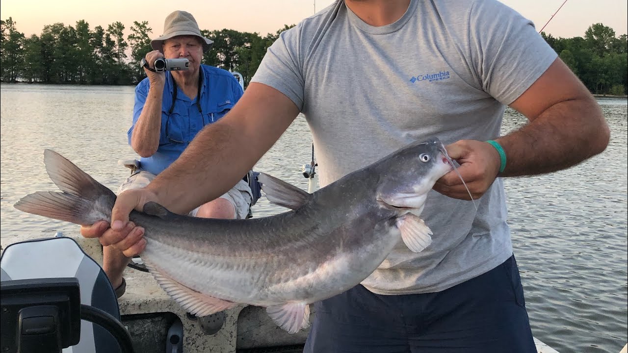 SANTEE 2020 Spring Catfishing Part 1, Grassi Outdoor Adventures YouTube