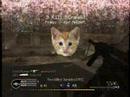 COD4 Multiplayer cheat