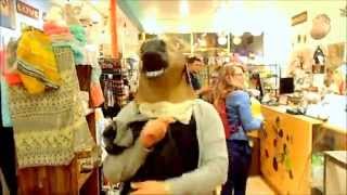 Crazy Horse in San Francisco