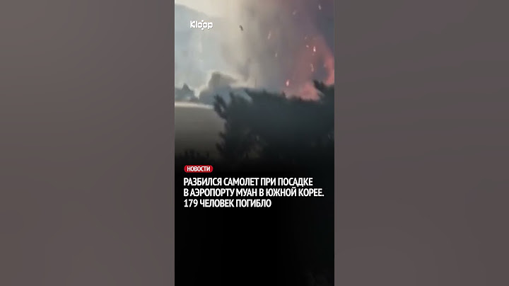 Разбился самолет при посадке в аэропорту Муан в Южной Корее. 179 человек погибло