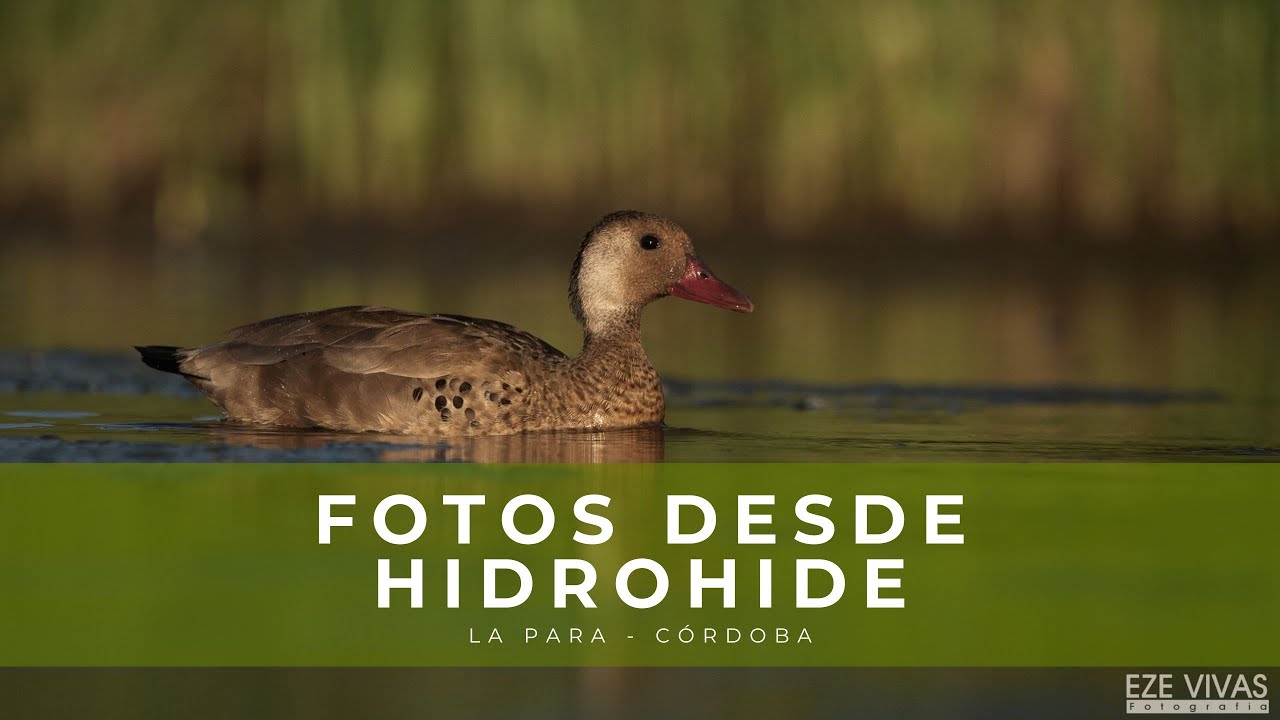 Fotografía desde Hidrohide