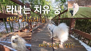 치유의숲 영상