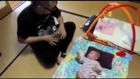 昔姪っ子を洗脳してた時の動画が出てきた