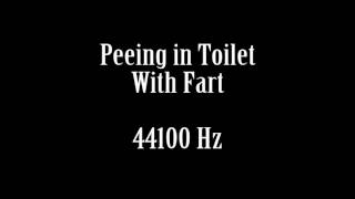 Human Sounds Man Peeing Urinating in Toilet With Fart Sound Effect Free High Quality Sound FX