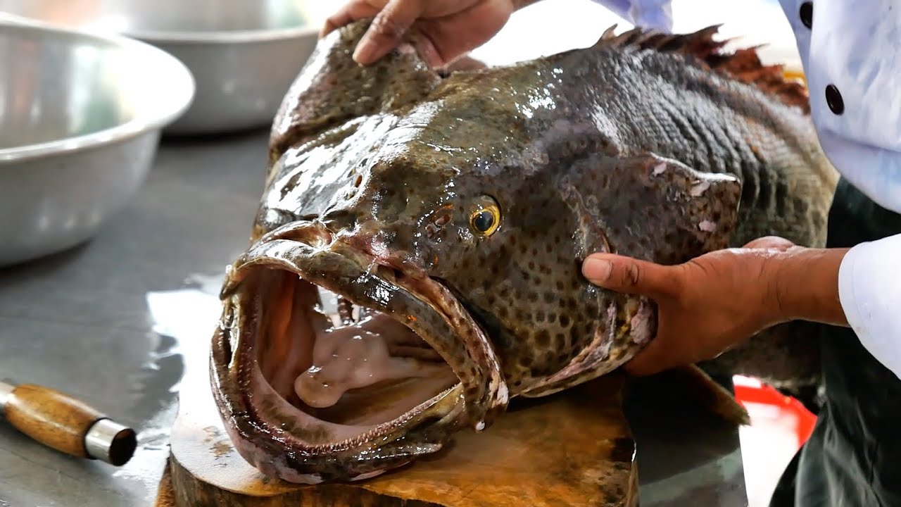 ⁣Vietnamese Food - GIANT GOLIATH GROUPER Sashimi Mui Ne Seafood Vietnam