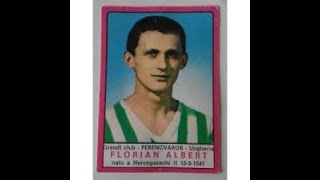 ByWSS2tPJSM Video Image