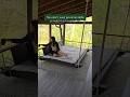 No Pro Skills No Problem Build This Hanging Bed Diy Woodworkingplans Hangingbed 