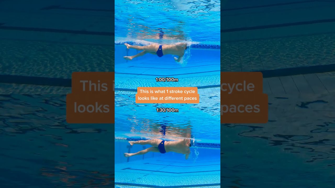 What S The Difference Between Fast And Slow Backstroke 