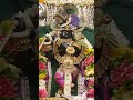 राधारमण लाल जी प्राकट्य उत्सव की हार्दिक बधाई🌹🙏 जय राधारमण लाल जू🌺🙏 #radharaman #radheradhe #shorts