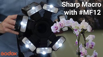 Godox: Hot to do sharp Macro Photos with #MF12