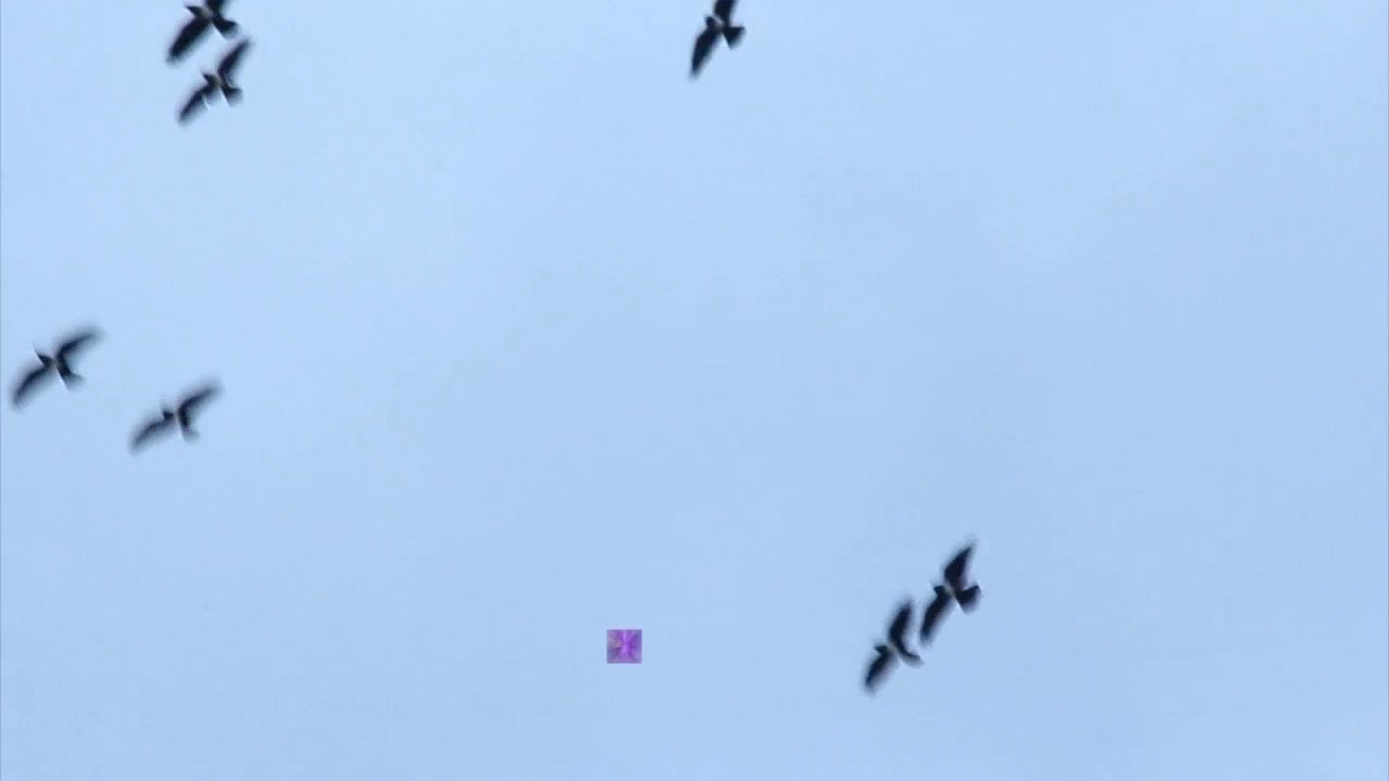 Jésus l'Ami Fidel_Soeur Rebecca JP_Message de W.M.B.