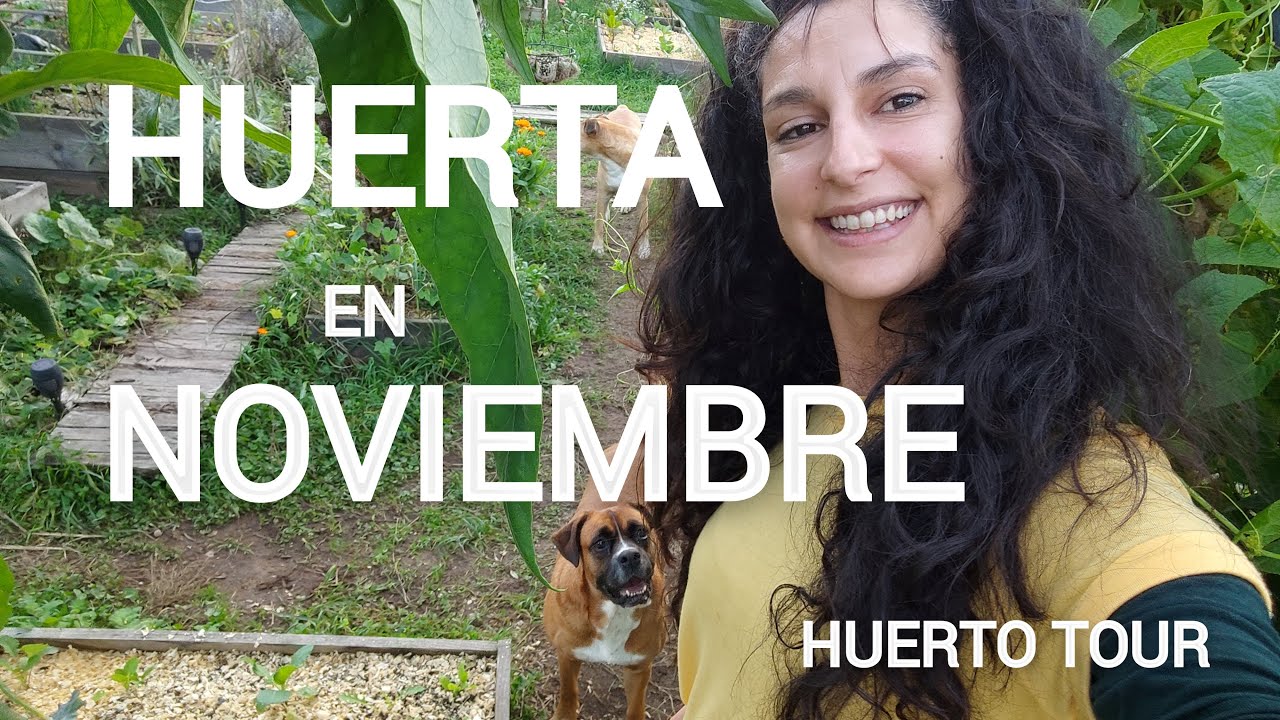 TOUR POR LA HUERTA EN NOVIEMBRE!