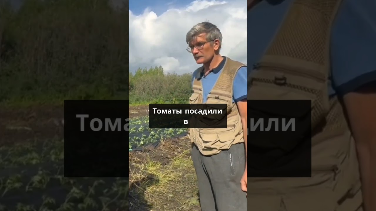 Томатное поле. Бизнес с нуля. Бизнес бастау. 