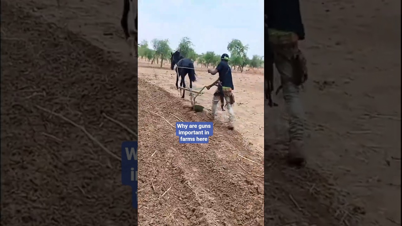 Why Are Farmers in Mali Carrying Guns?