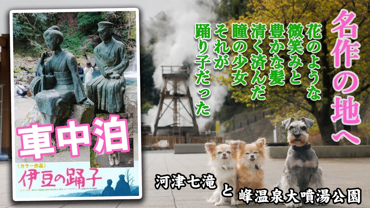 【伊豆の旅・名作の舞台へ】お湯が噴き出す峰温泉大噴湯公園＆伊豆の踊子の舞台　河津七滝へ！【伊豆観光】