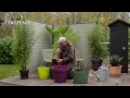 Créer une haie de bambous sur la terrasse - Truffaut