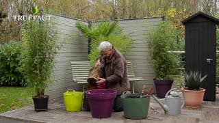 Créer une haie de bambous sur la terrasse - Truffaut Créer une haie de bambous sur la terrasse - Truffaut