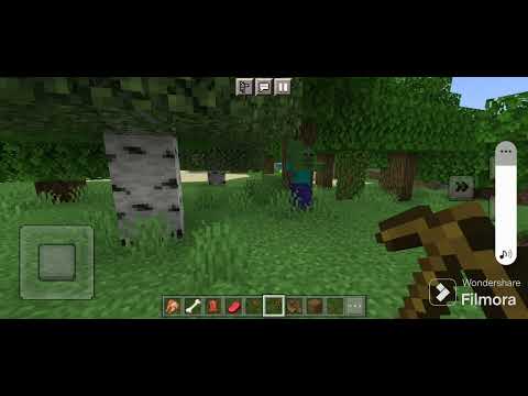 19 de noviembre de 2023