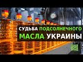 Факторы влияния на масложировой рынок Украины | Latifundist