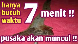 Ketahui❗ 5 Mimpi Pertanda Anda Memiliki Khodam