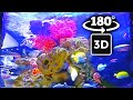 Relaxing with The Wonderful World of Ocean in a Aquarium - 3D VR 180 5.7K