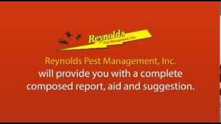 Termite Inspection Port St Lucie, Jensen Beach, Stuart, Jupiter, FL