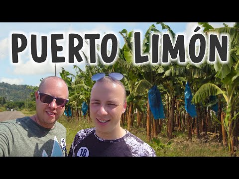 Vídeo: Puerto Limon, Costa Rica com a port d'escala del Carib