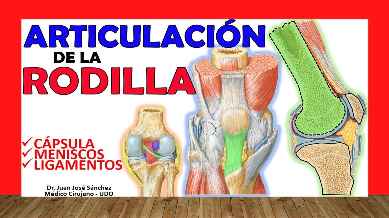 ARTICULACION DE LA RODILLA 