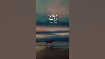 تلاوة هادئة للقارئ (عبد الرحمن مسعد) حالات واتساب