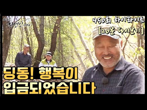 20분 다시보기] '돈만 쫓아다녔던 자연인이 산에 와서 느낀 깨달음' 나는 자연인이다 450회 하이라이트, Mbn 210505 방송 -  Youtube