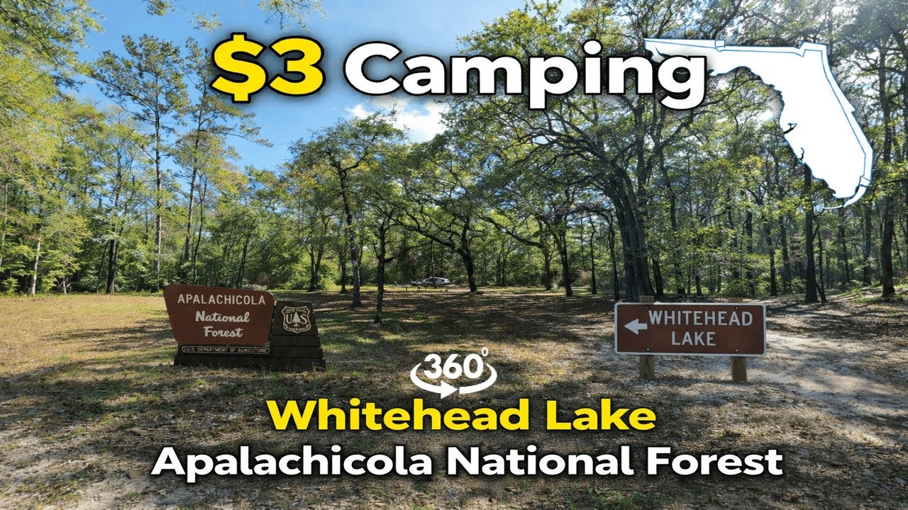 360° Whitehead Lake Campground -  Cheap Camping in Florida - Apalachicola National Forest