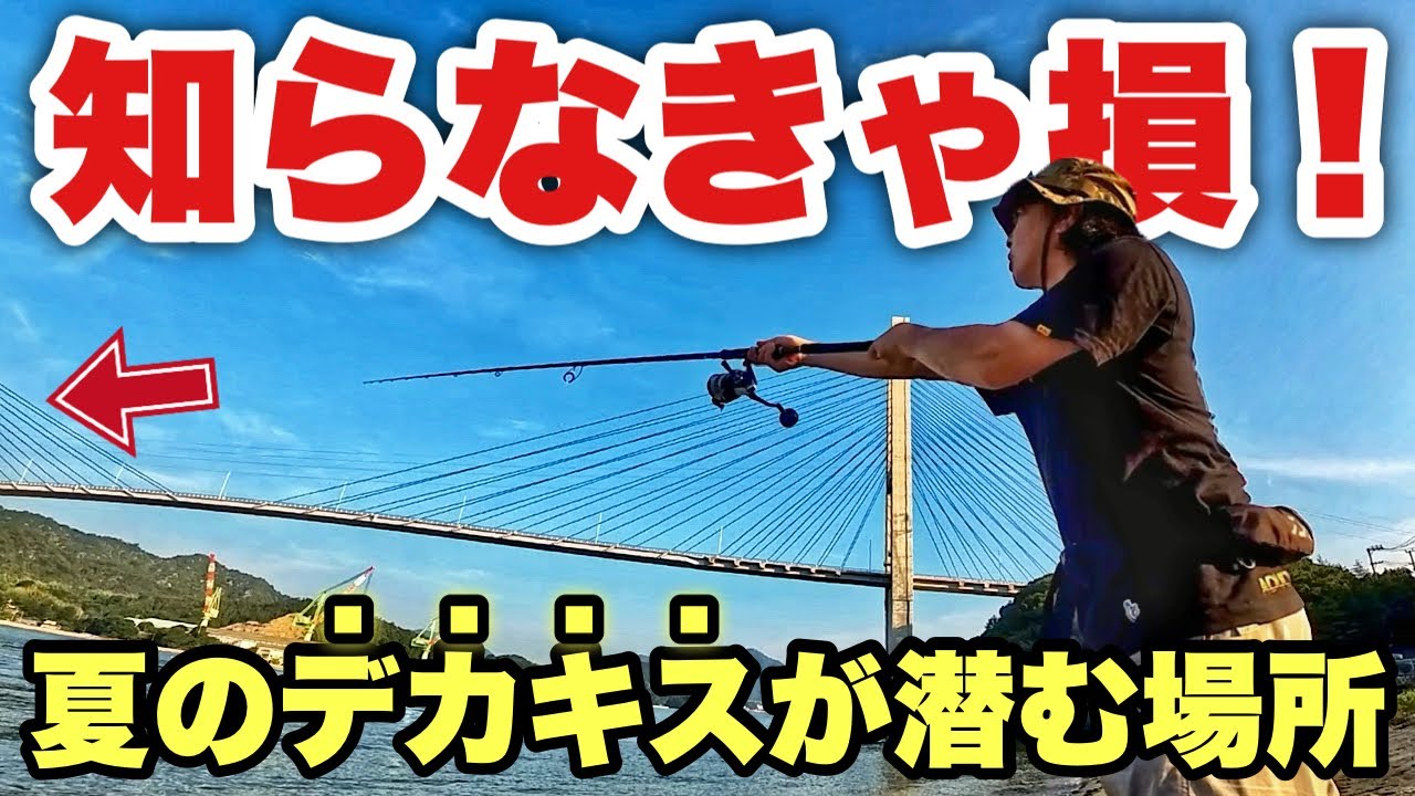 少年海釣りブック シカケと釣り方これでオーケー Do you think you can only catch small fish in the summer? We