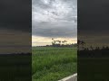 Pemandangan Sawah dan suara Air mengalir #desa #kampungsepi #sawah #nature